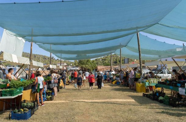 Sant Antoni presents its gastronomic potential in Madrid Fusión