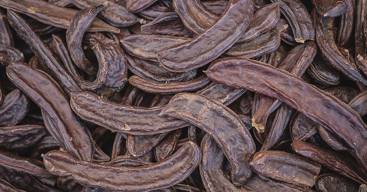 Carob prices 2023-2024 are now available!